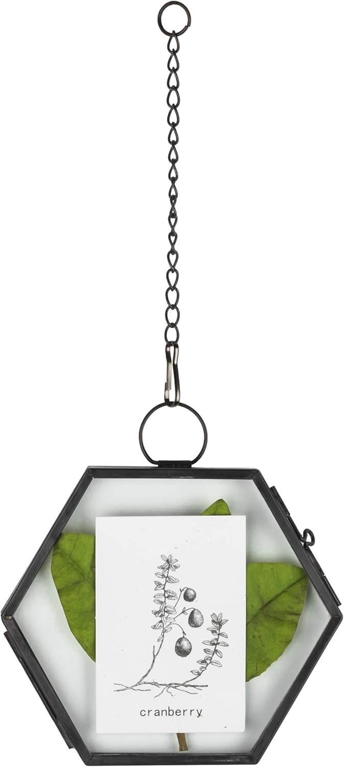 NCYP Mini Hanging Hexagon Glass Frame for Dried Flowers and Photos