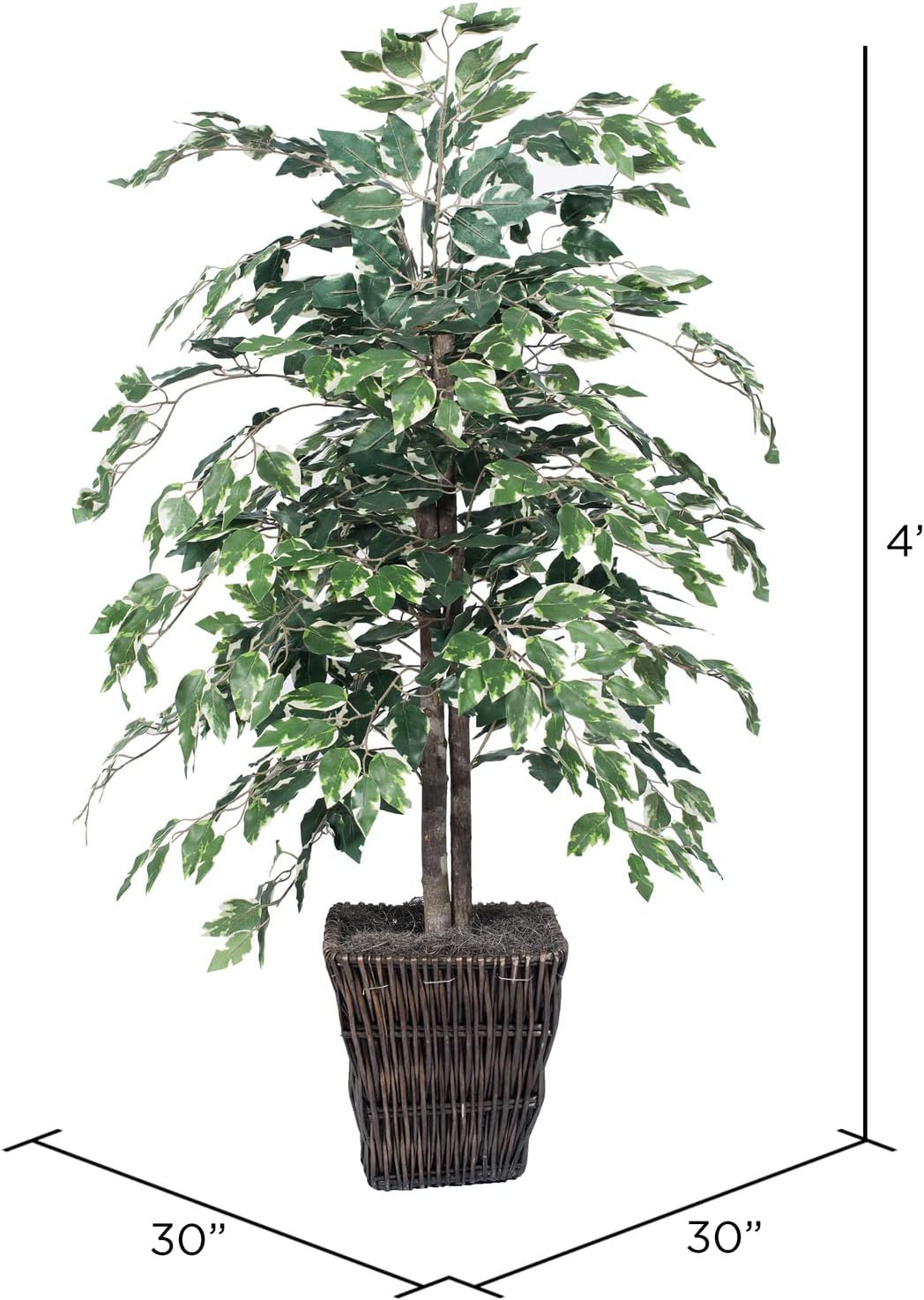 Vickerman 4-Foot Artificial Variegated Ficus Bush