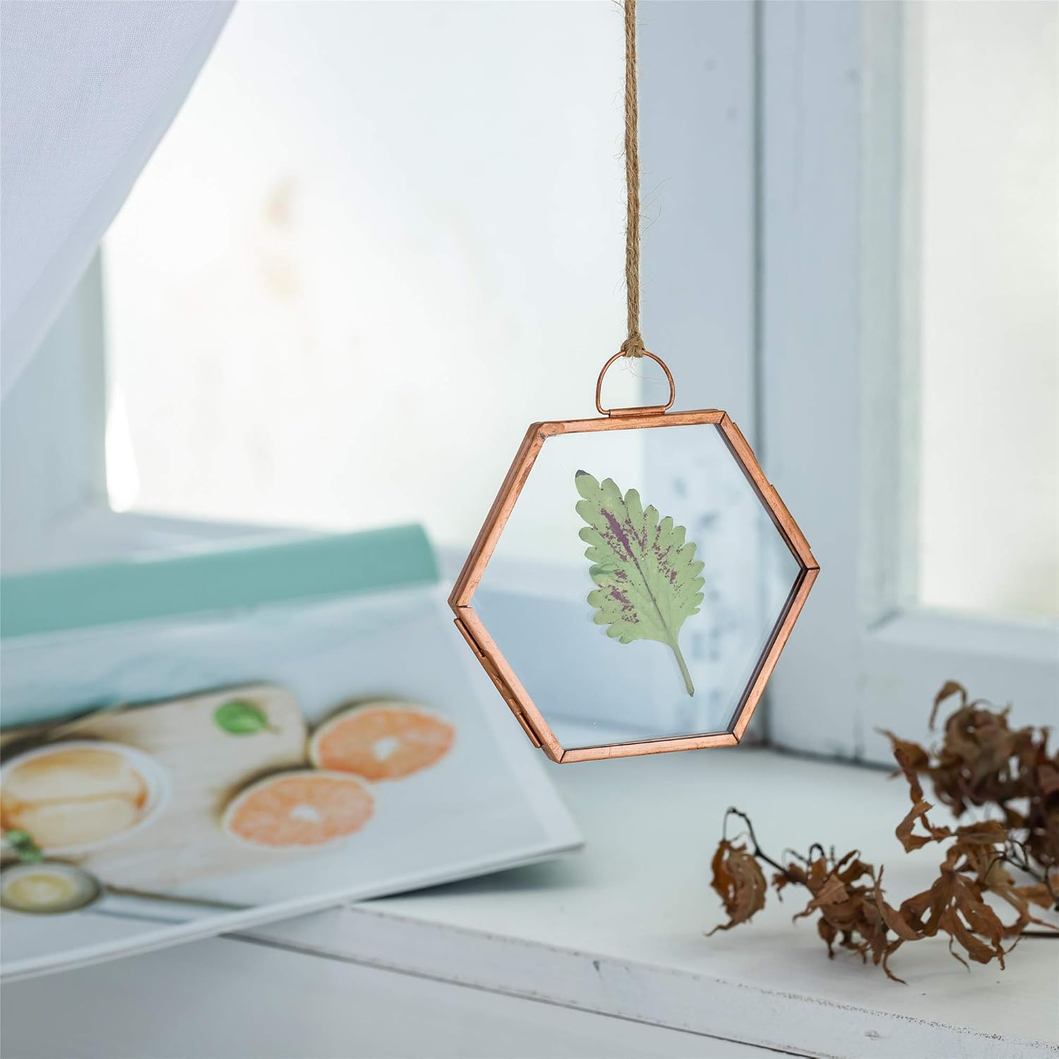 NCYP Rose Gold Copper Hexagon Herbarium Frame