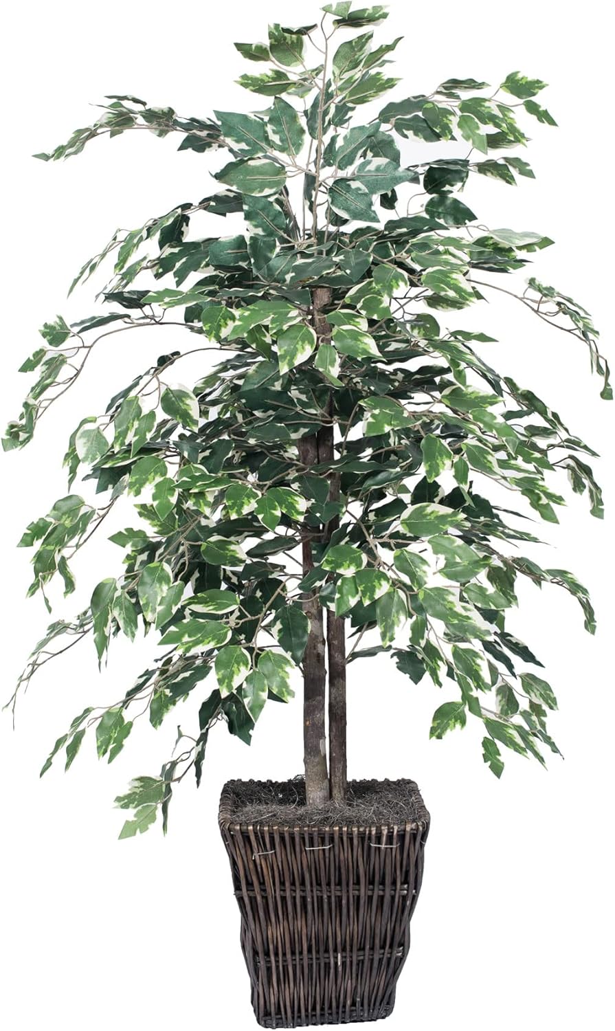 Vickerman 4-Foot Artificial Variegated Ficus Bush