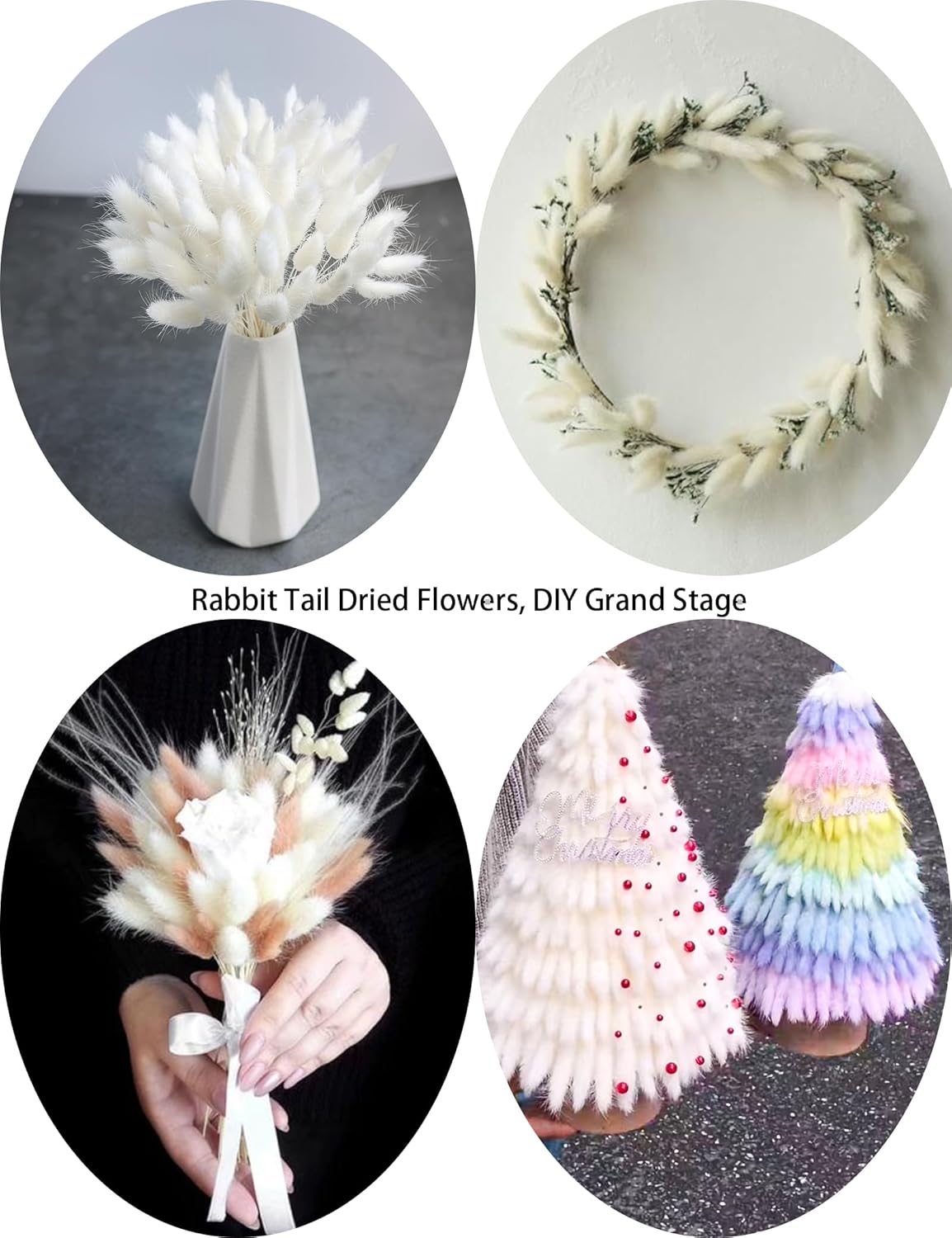 120 Sticks Dried Bunny Tail Flowers for Decor
