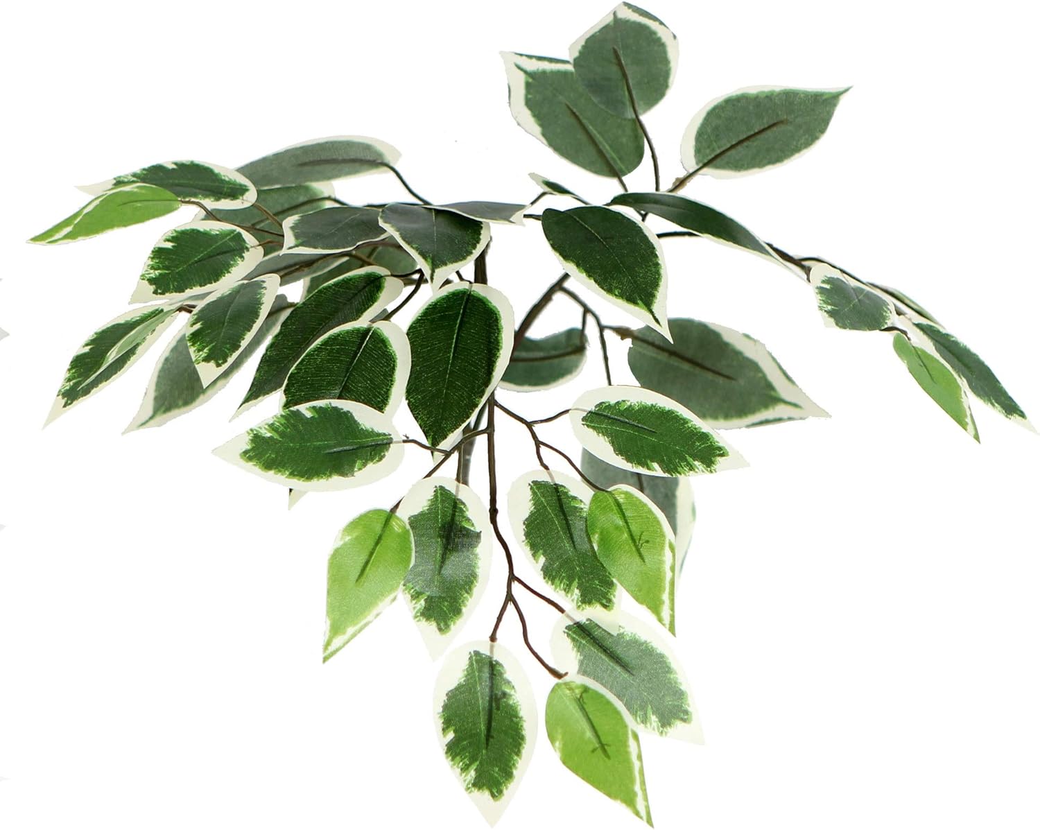 Vickerman 4-Foot Artificial Variegated Ficus Bush