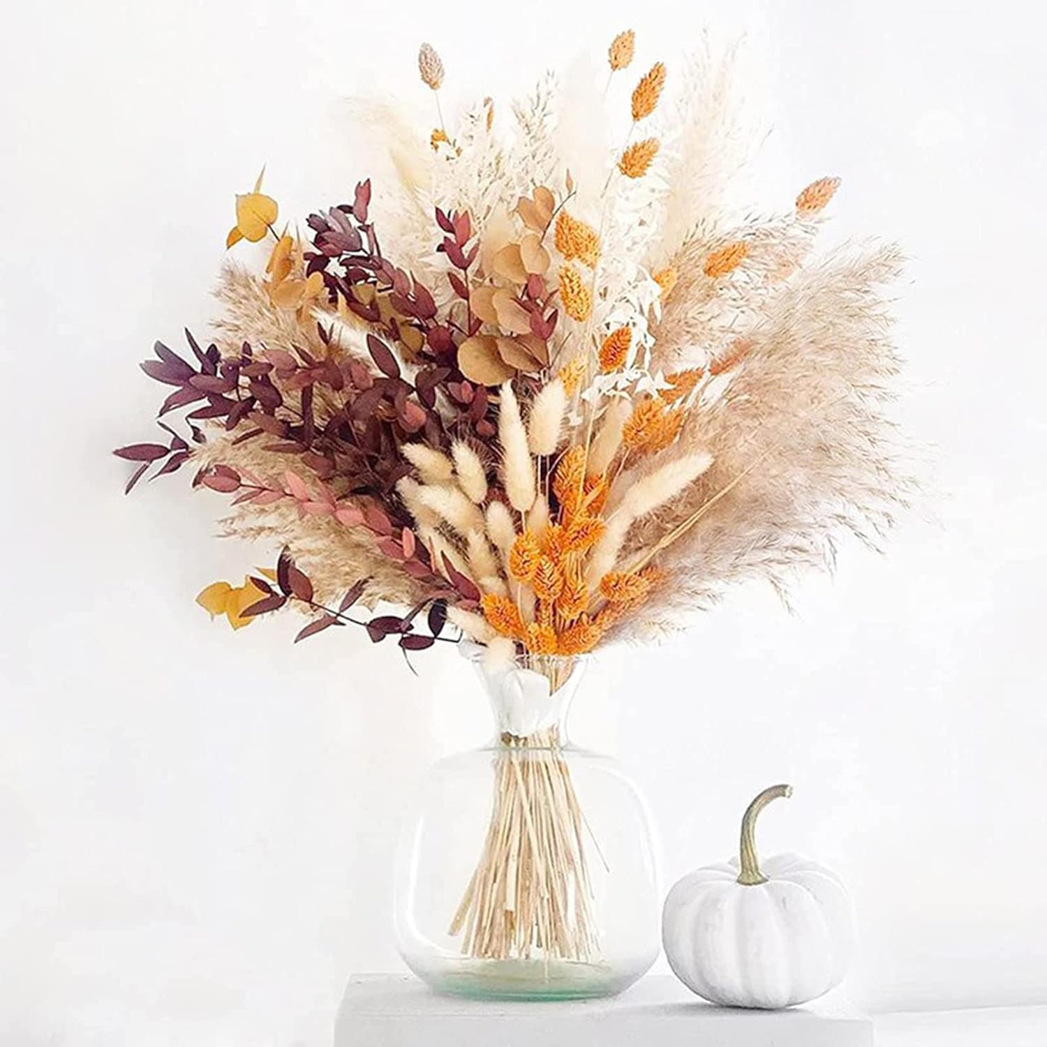 Ochine Natural Dried Lagurus Ovatus for Home Decor