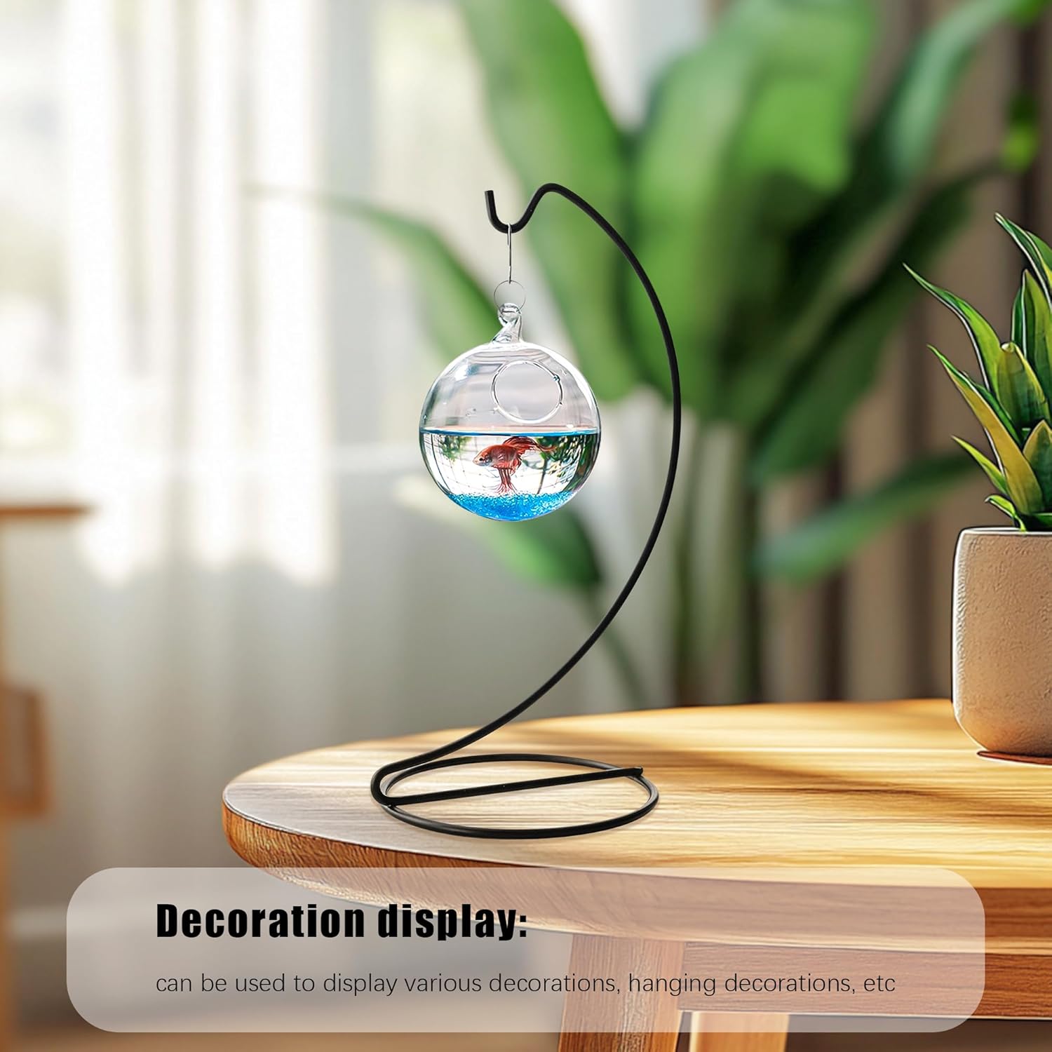 HD Hyaline Dora 5-Pack Black Ornament Display Stands