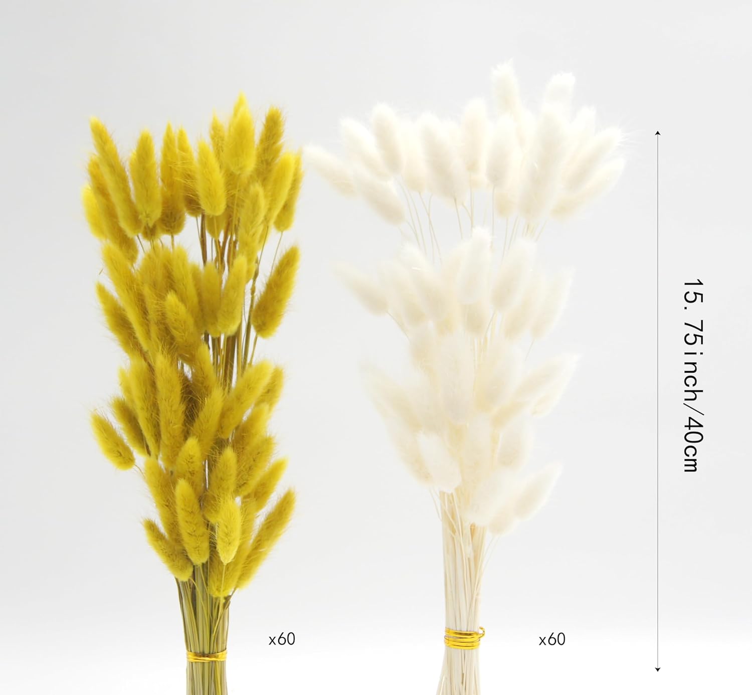 JOJAZE Dried Bunny Tails Flowers 120pcs for Home Decor