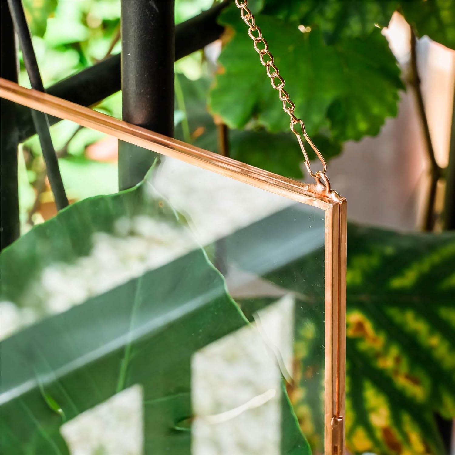 NCYP 8x10 Inch Rose Gold Wall Frame for Photos and Plants