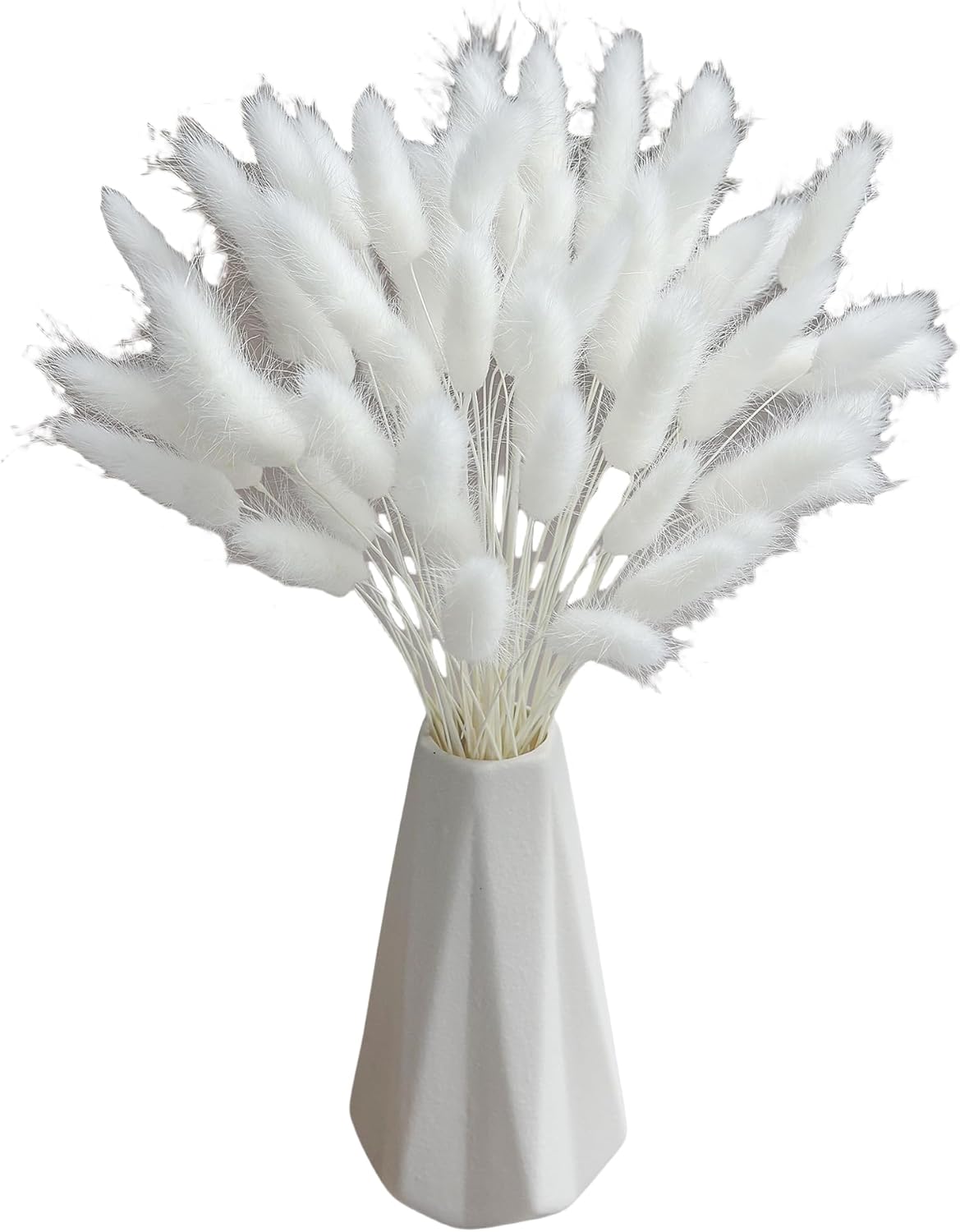 120 Sticks Dried Bunny Tail Flowers for Decor