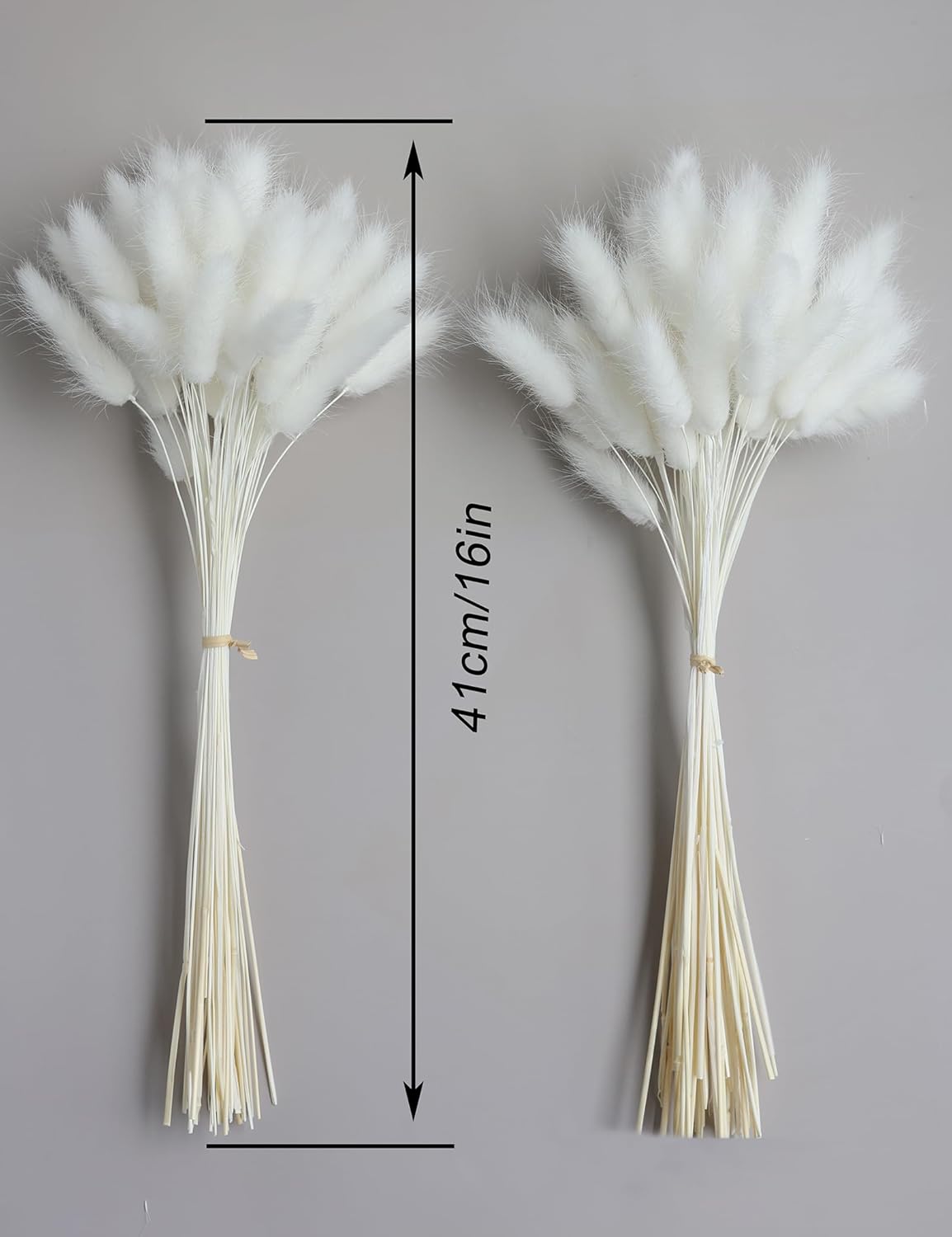 120 Sticks Dried Bunny Tail Flowers for Decor