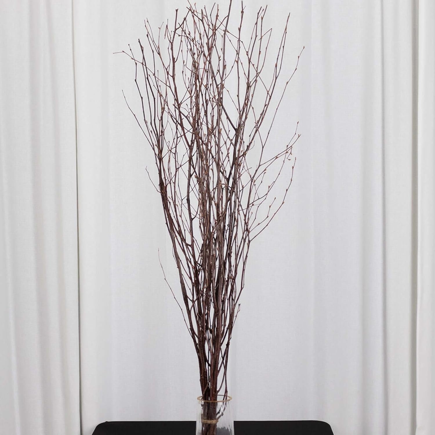 Efavormart 6 Pack Natural Birch Tree Branches Vase Fillers