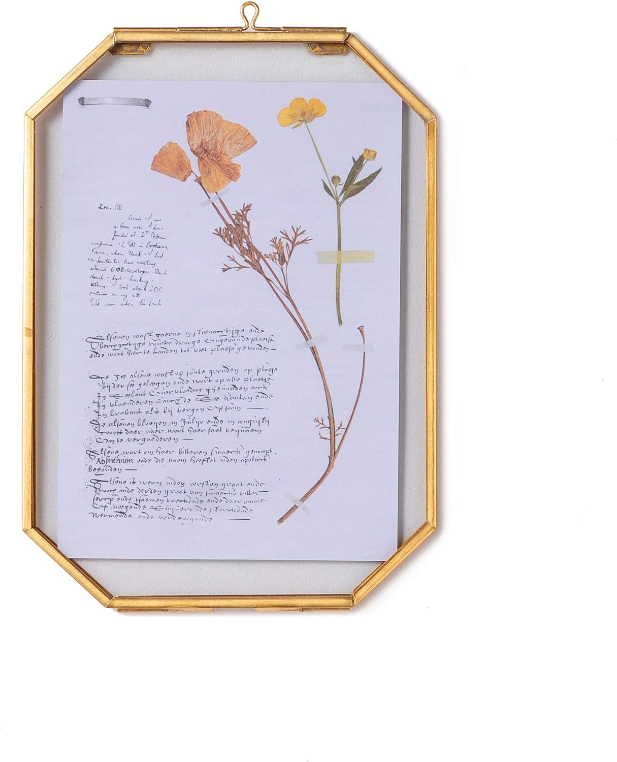NCYP 5x7 Inch Floating Glass Frame with Chain