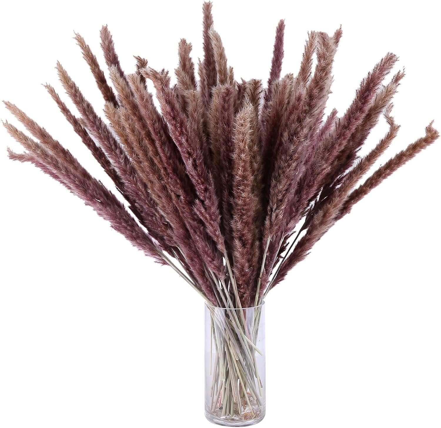 Eforcase 75PCS Dried Pampas Grass Boho Decor