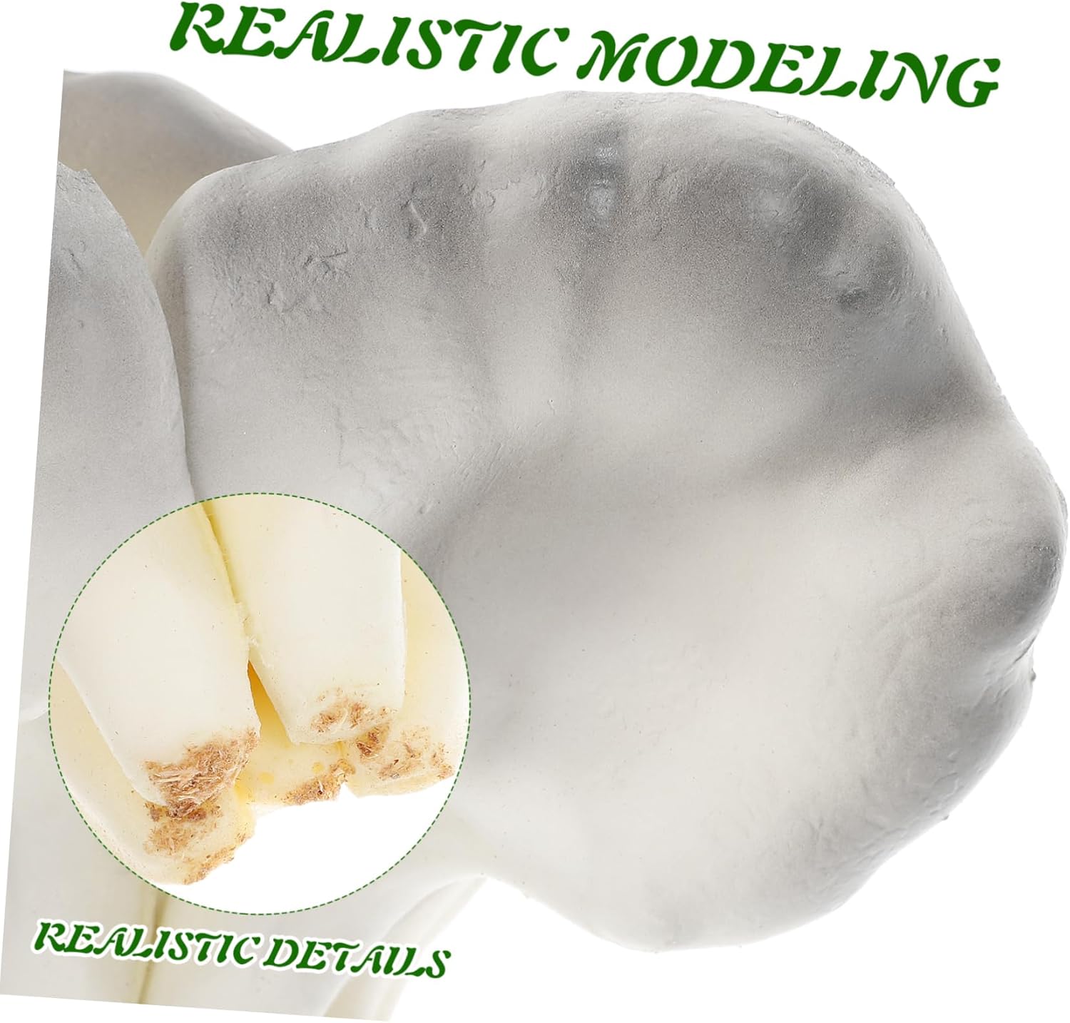 Realistic Mushroom Photo Prop for Home and Party