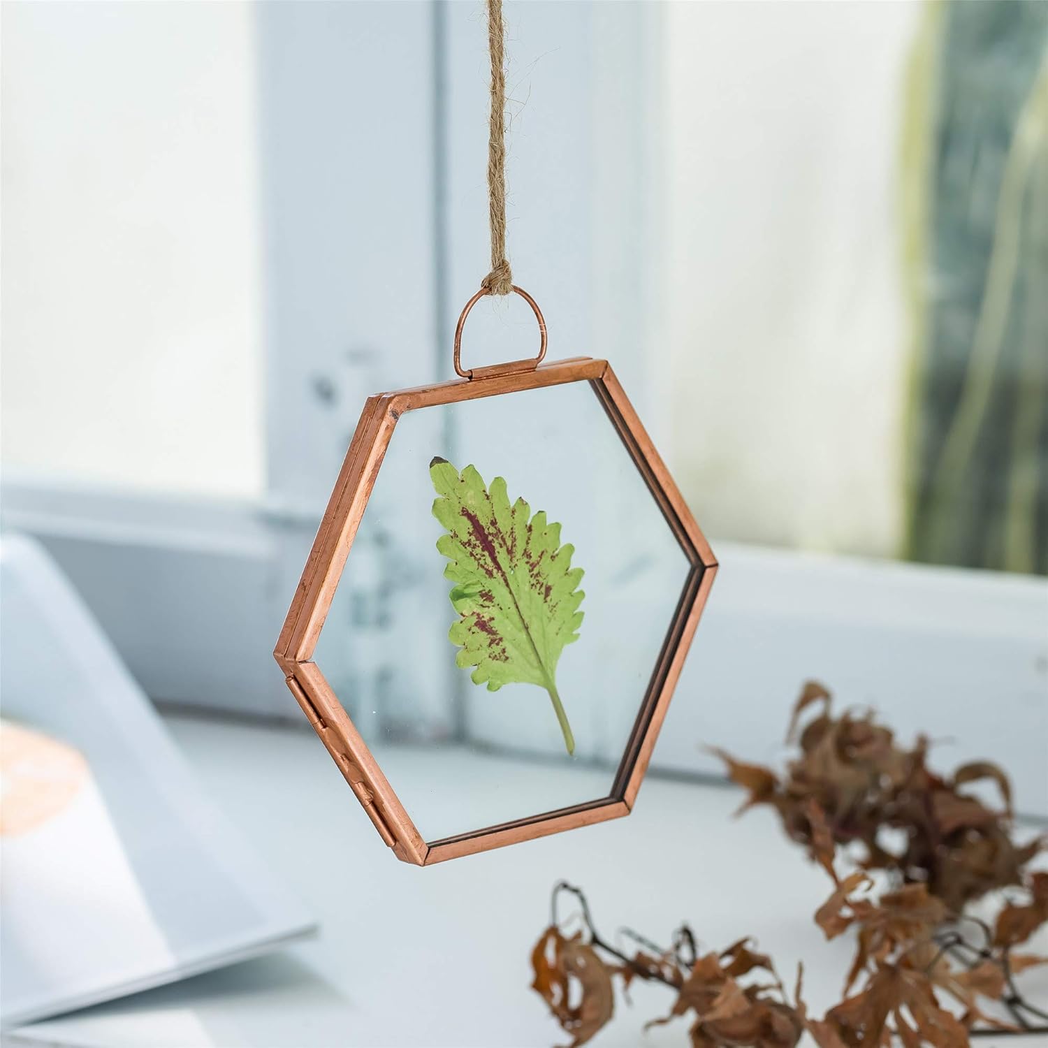 NCYP Rose Gold Copper Hexagon Herbarium Frame