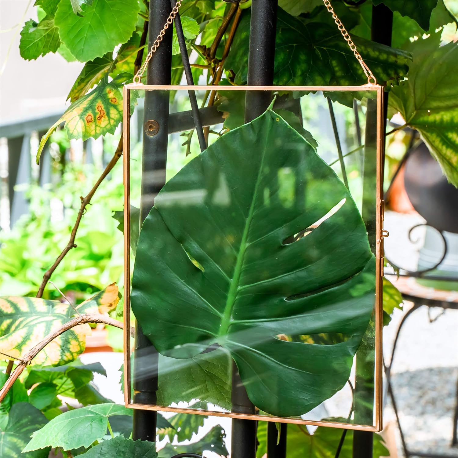 NCYP 8x10 Inch Rose Gold Wall Frame for Photos and Plants