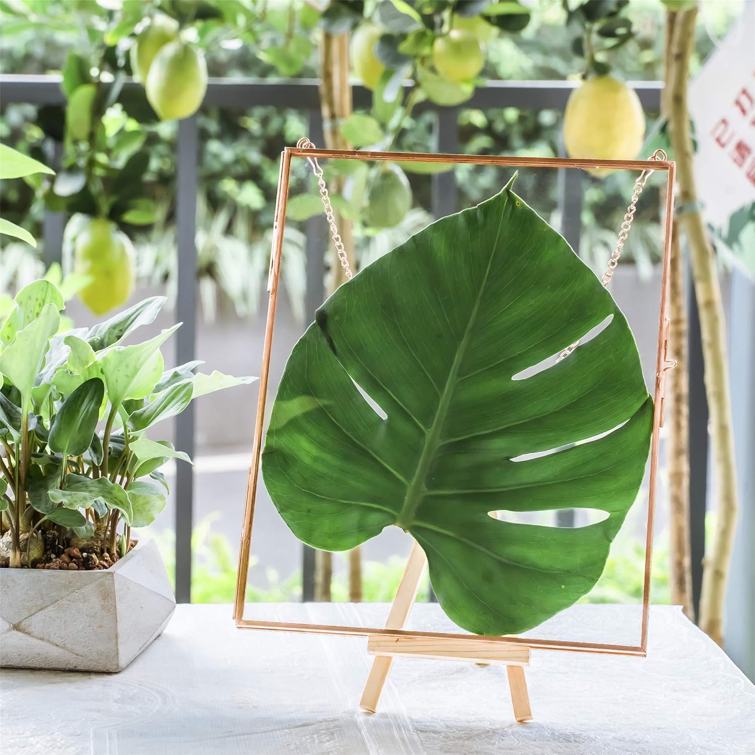 NCYP 8x10 Inch Rose Gold Wall Frame for Photos and Plants