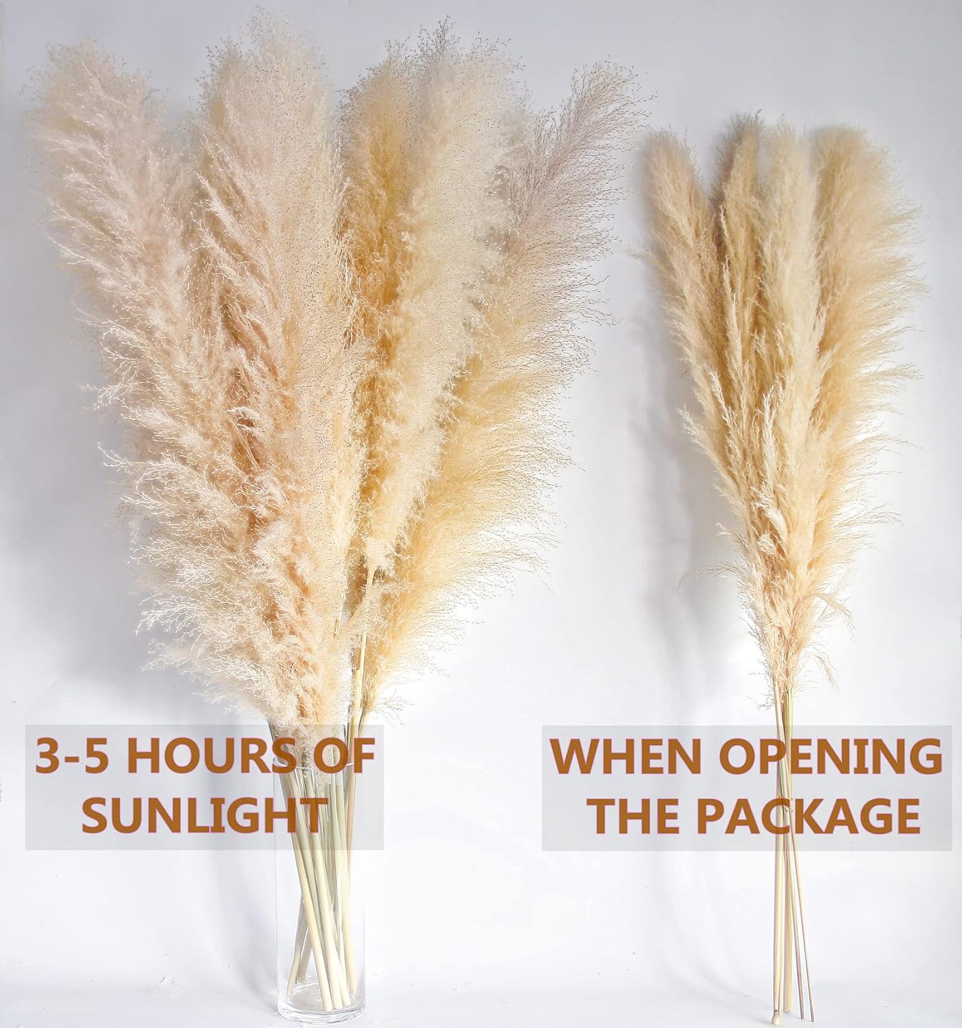 46 Inch Ivory Pampas Grass Decor Set of 10