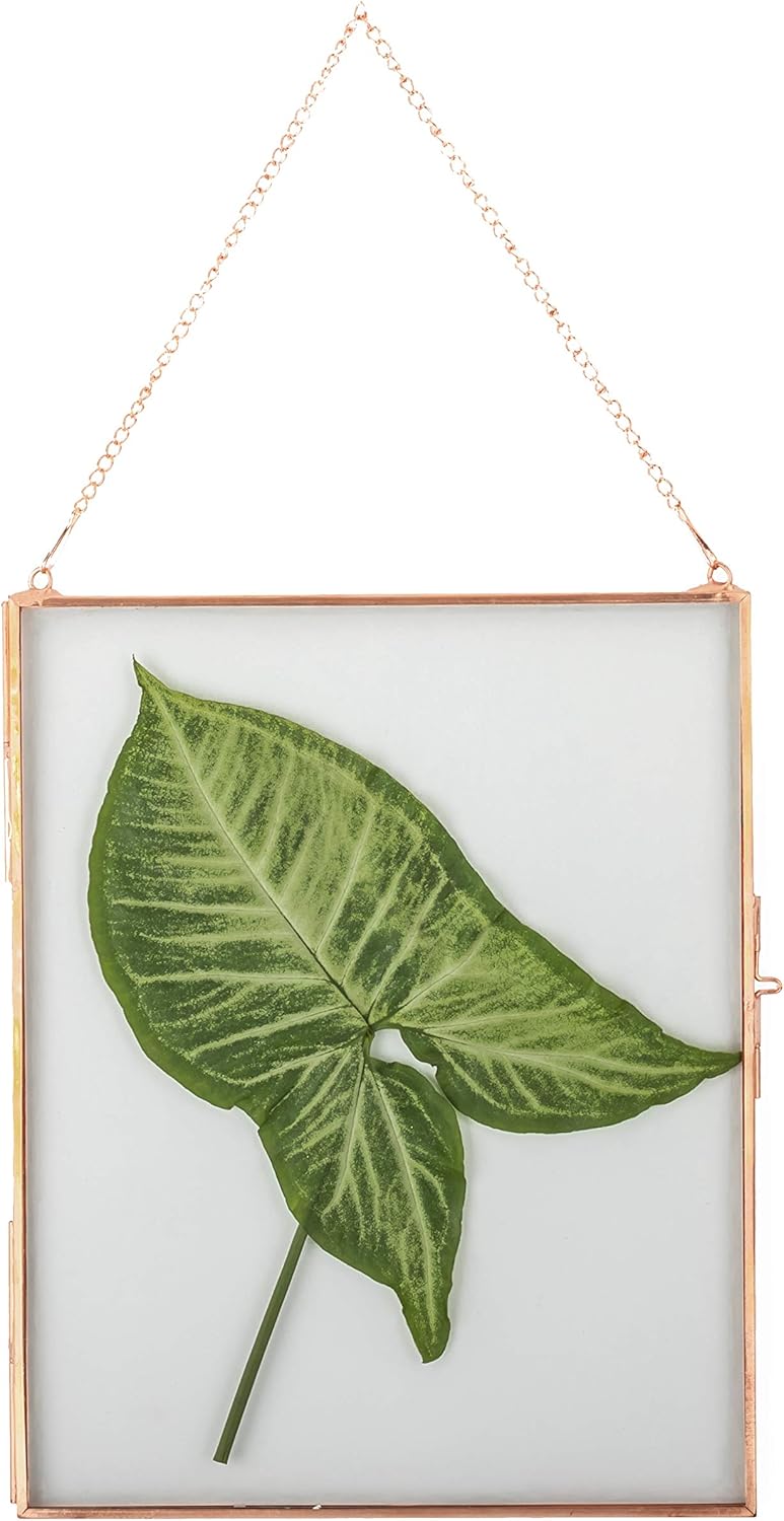 NCYP 8x10 Inch Rose Gold Wall Frame for Photos and Plants