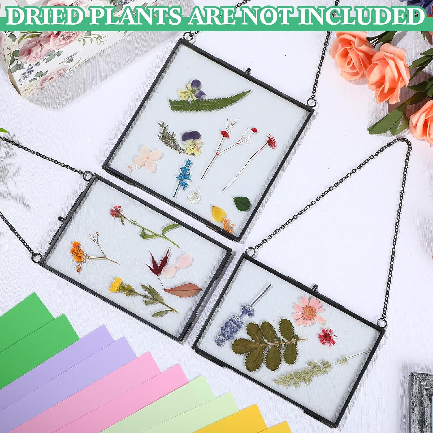 Geetery 9 Pcs Black Hanging Glass Frame for Dried Flowers
