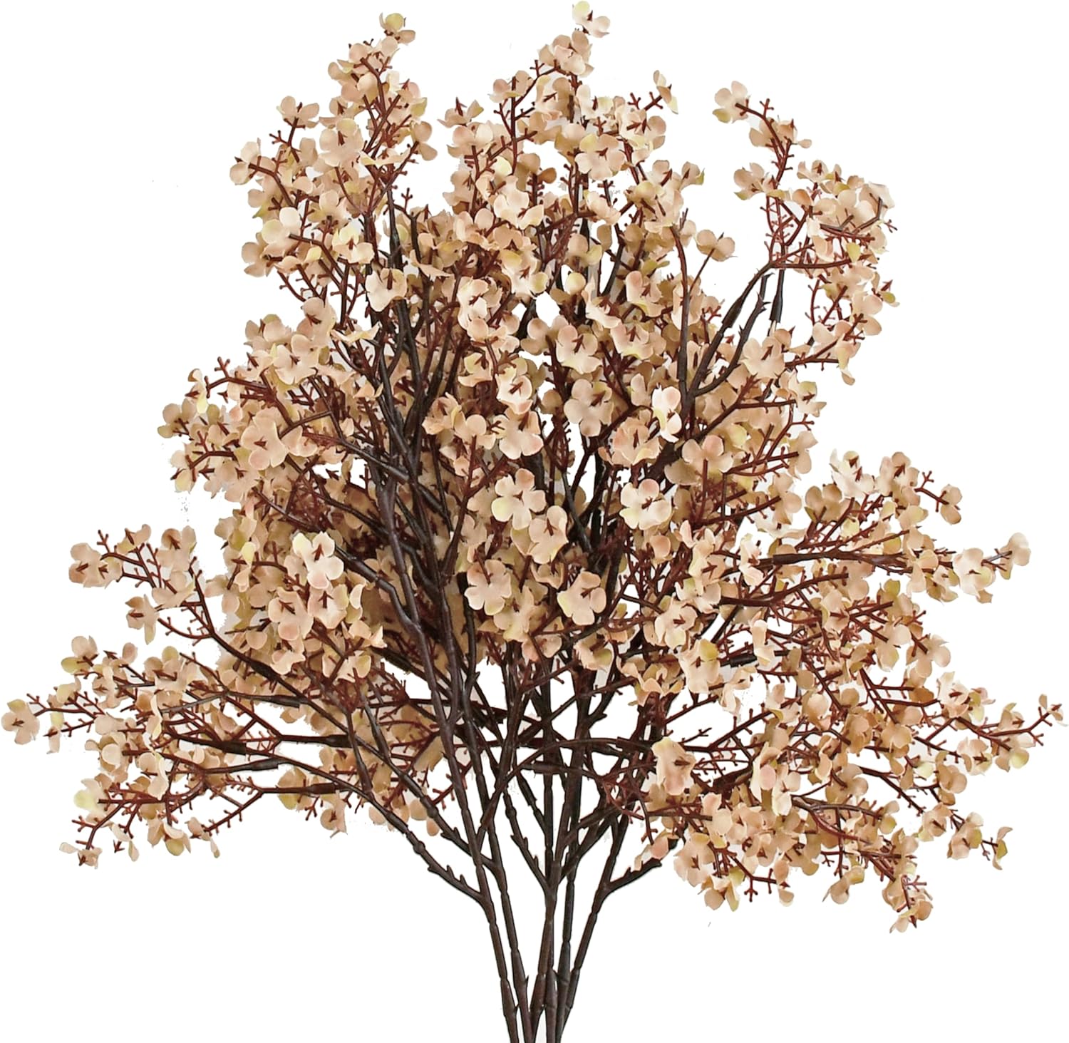 Mandys Light Brown Babys Breath Flowers 6 Bundles