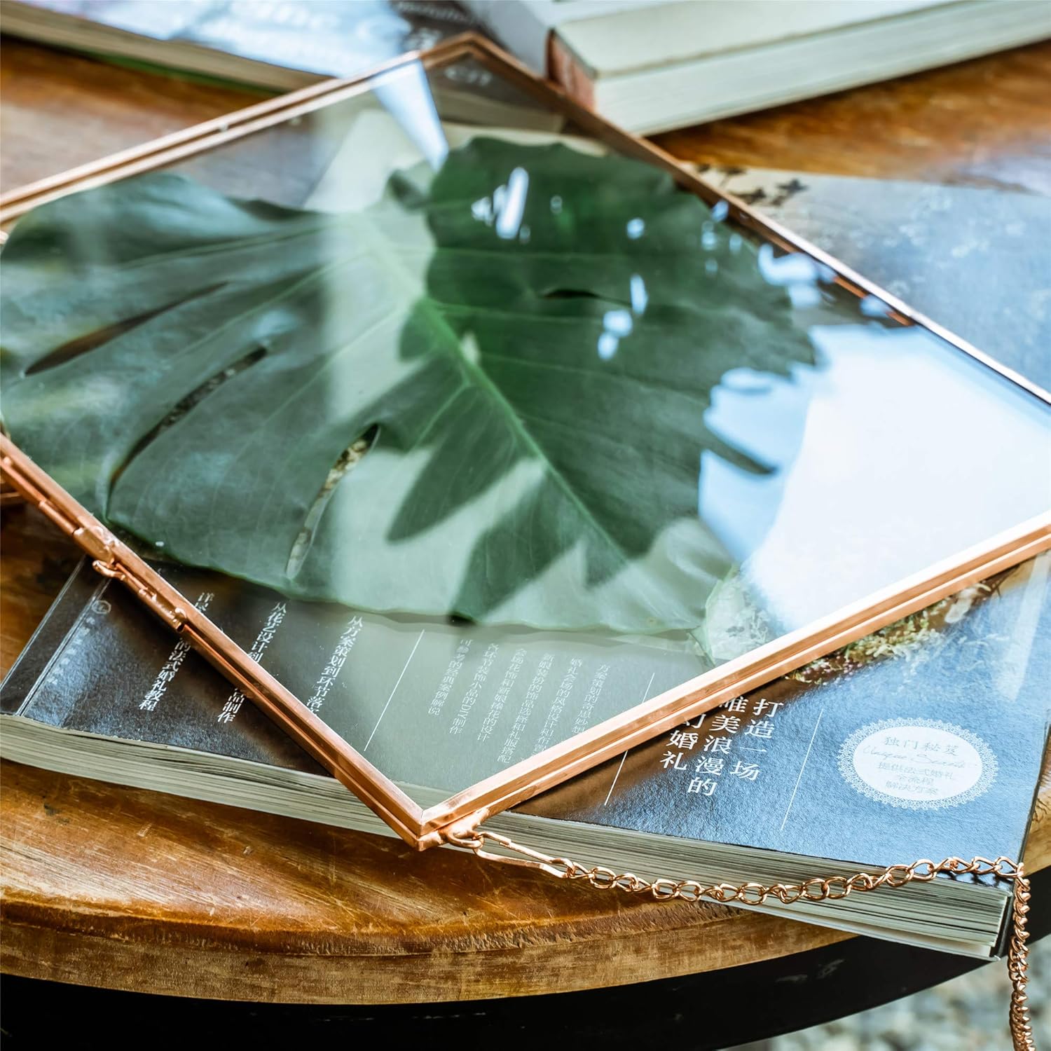 NCYP 8x10 Inch Rose Gold Wall Frame for Photos and Plants