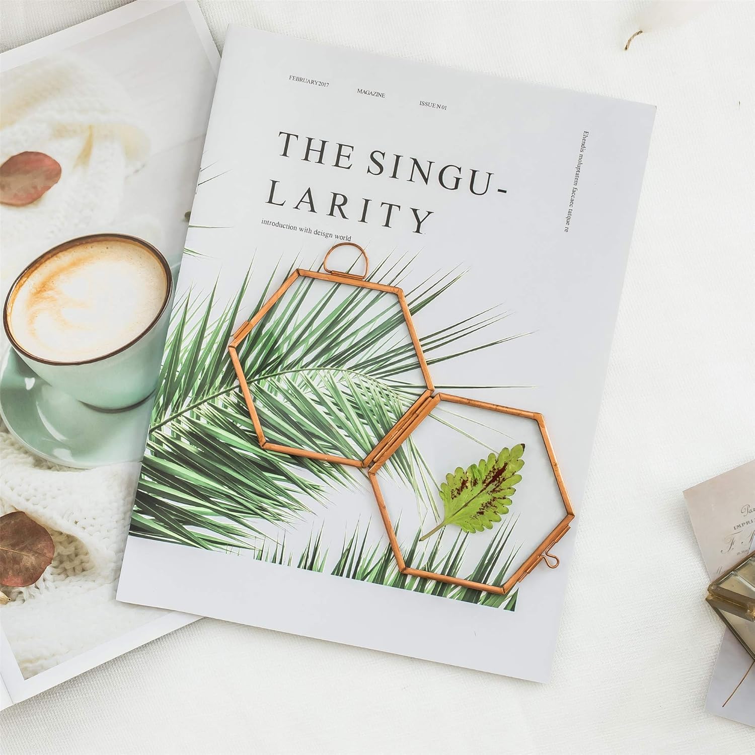 NCYP Rose Gold Copper Hexagon Herbarium Frame