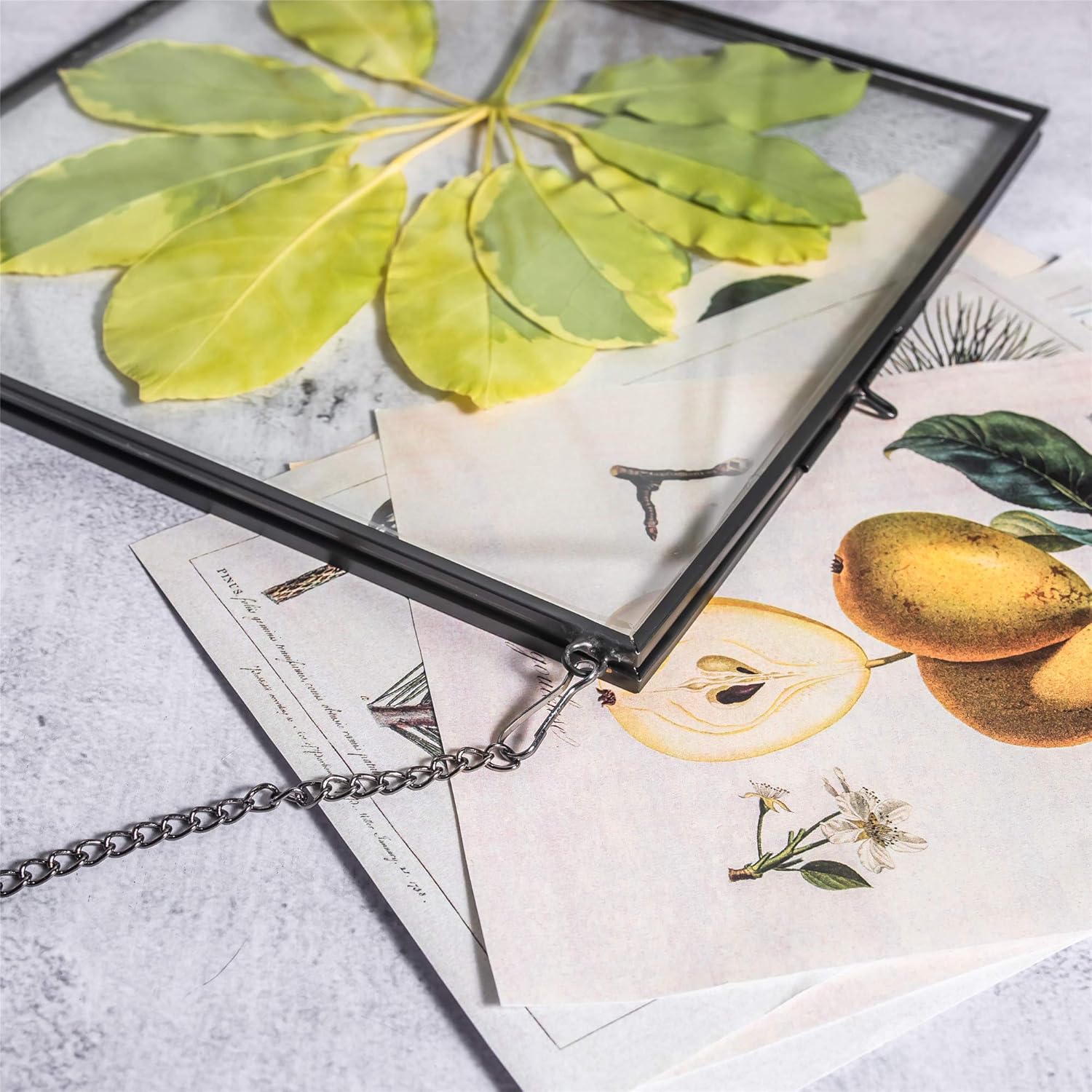 NCYP Hanging Glass Floating Frame for Pressed Flowers and Photos