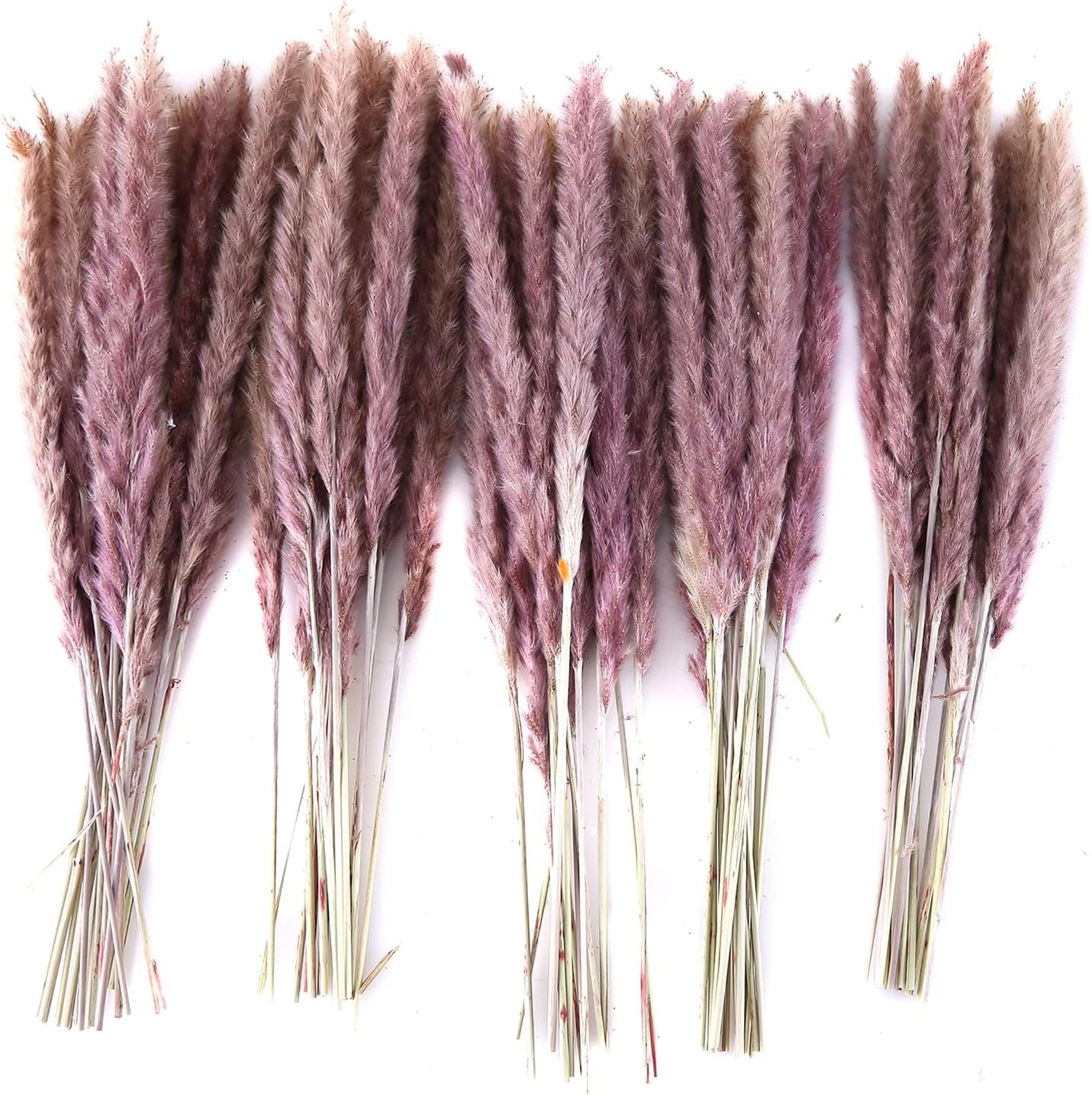 Eforcase 75PCS Dried Pampas Grass Boho Decor