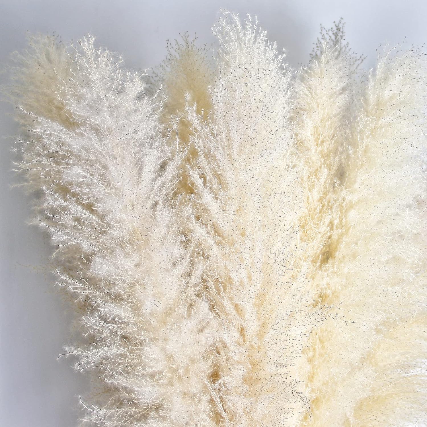 46 Inch Ivory Pampas Grass Decor Set of 10