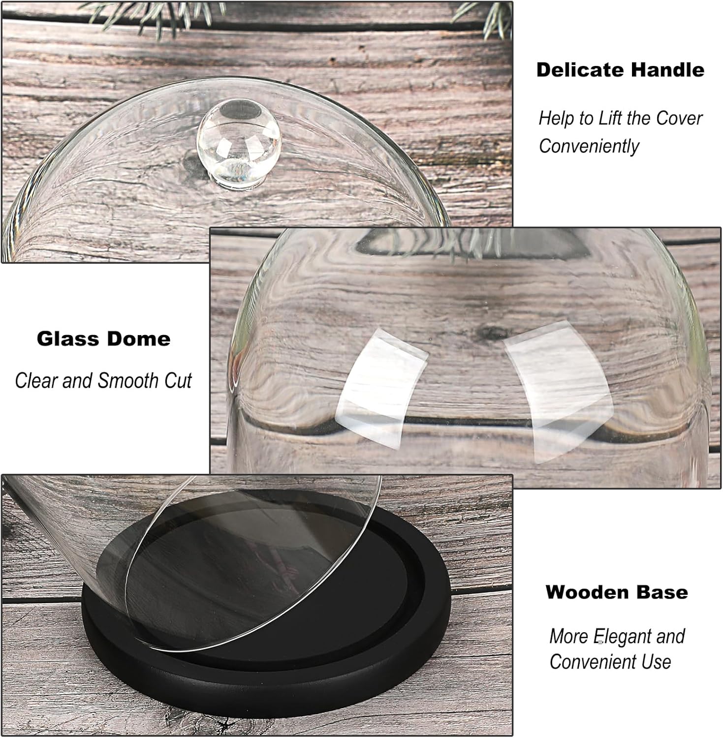 JUXYES Clear Glass Cloche with Wood Base