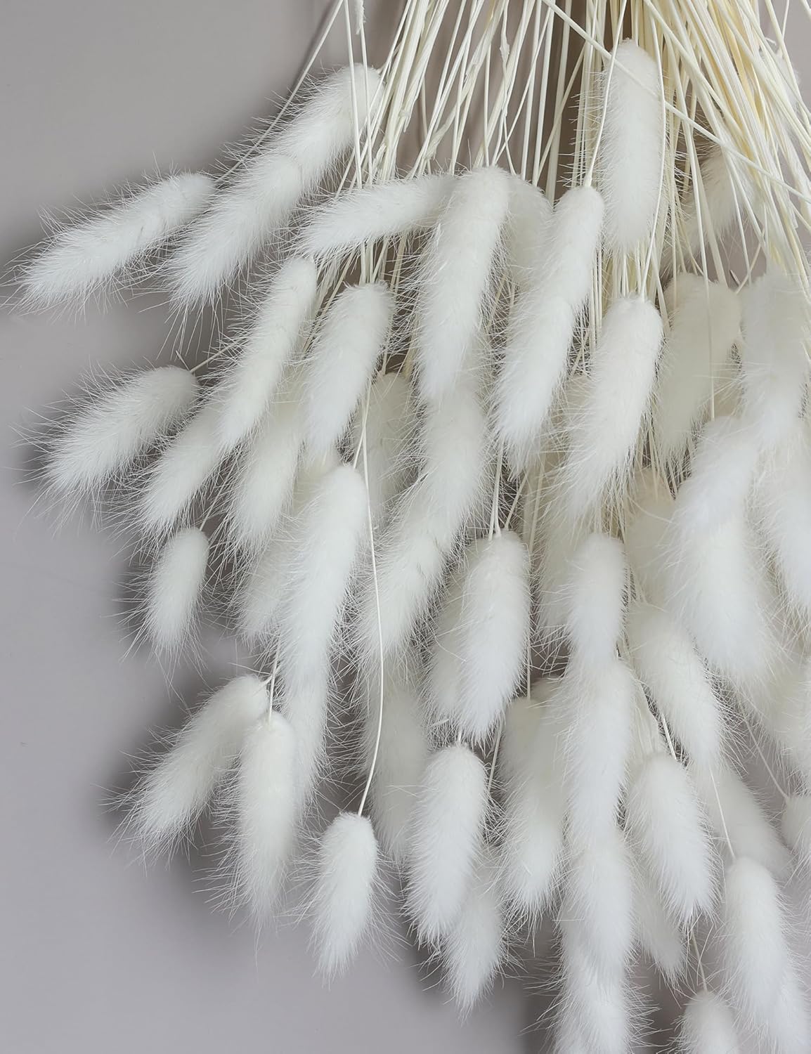 120 Sticks Dried Bunny Tail Flowers for Decor