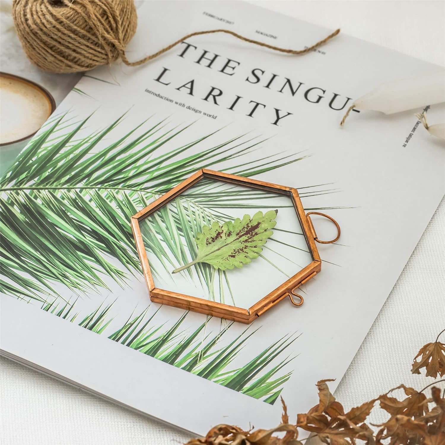 NCYP Rose Gold Copper Hexagon Herbarium Frame