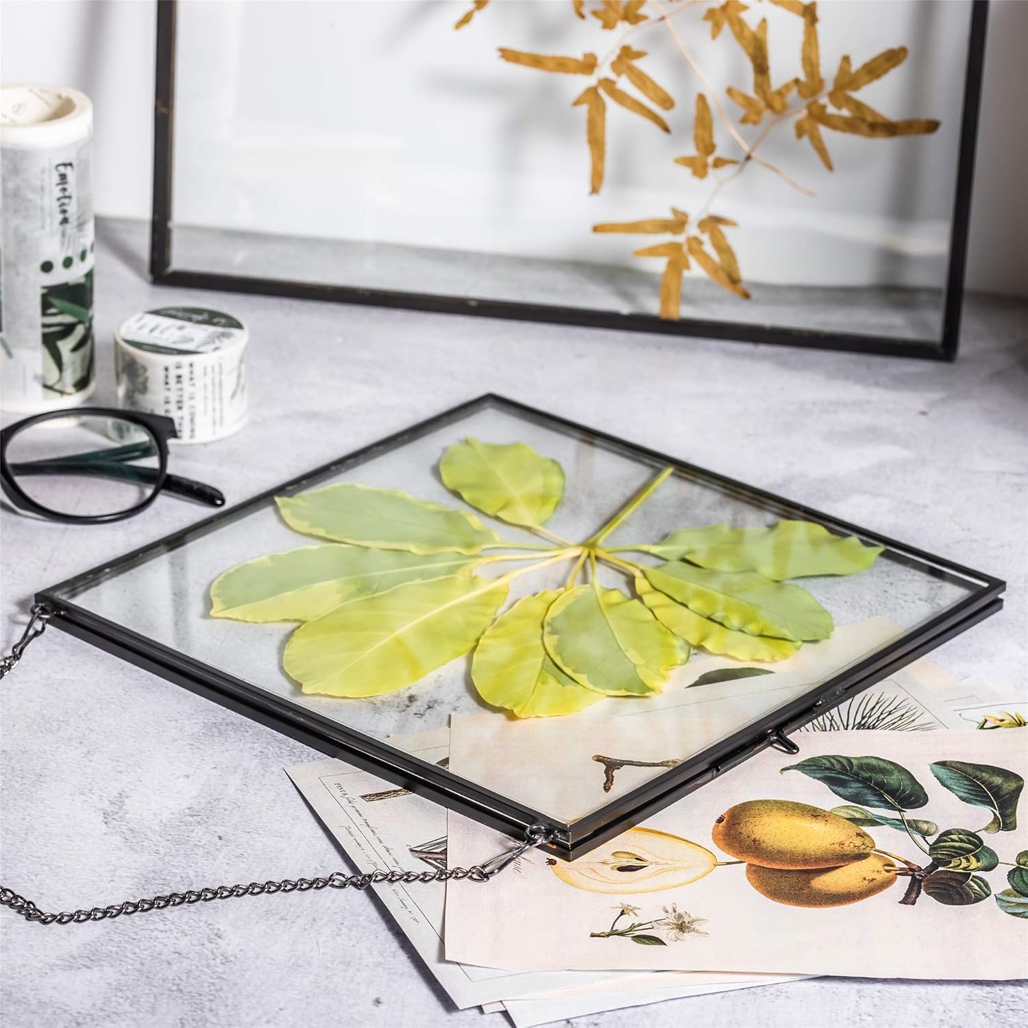 NCYP Hanging Glass Floating Frame for Pressed Flowers and Photos