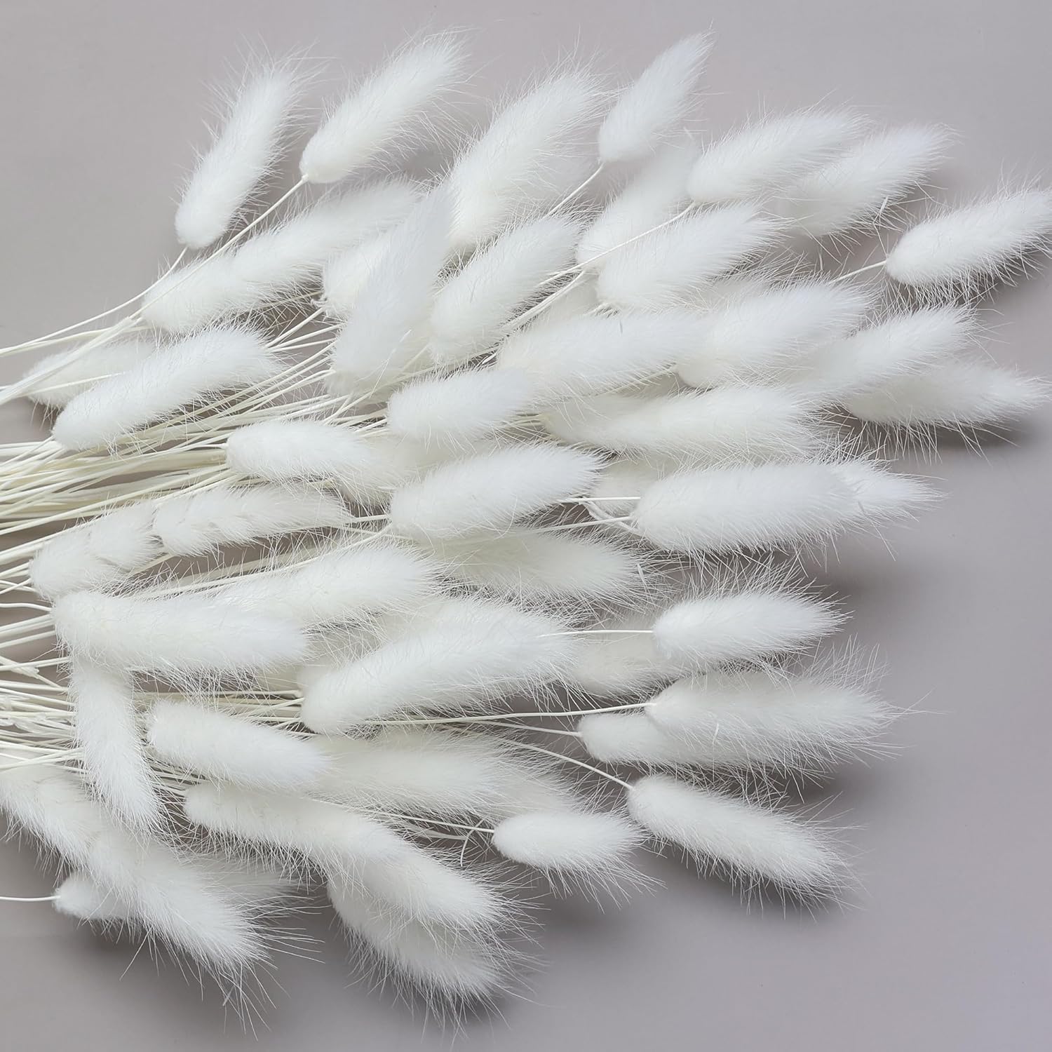 120 Sticks Dried Bunny Tail Flowers for Decor