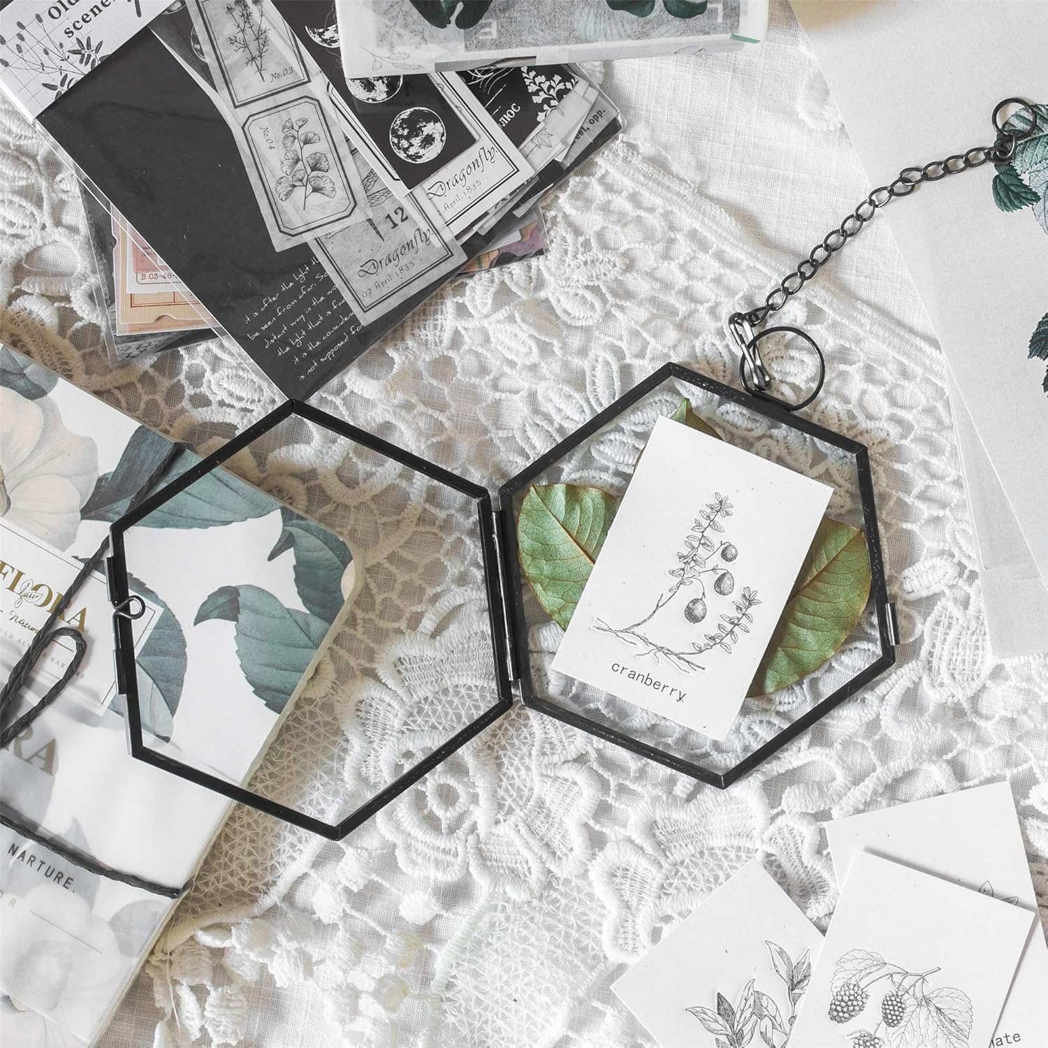 NCYP Mini Hanging Hexagon Glass Frame for Dried Flowers and Photos