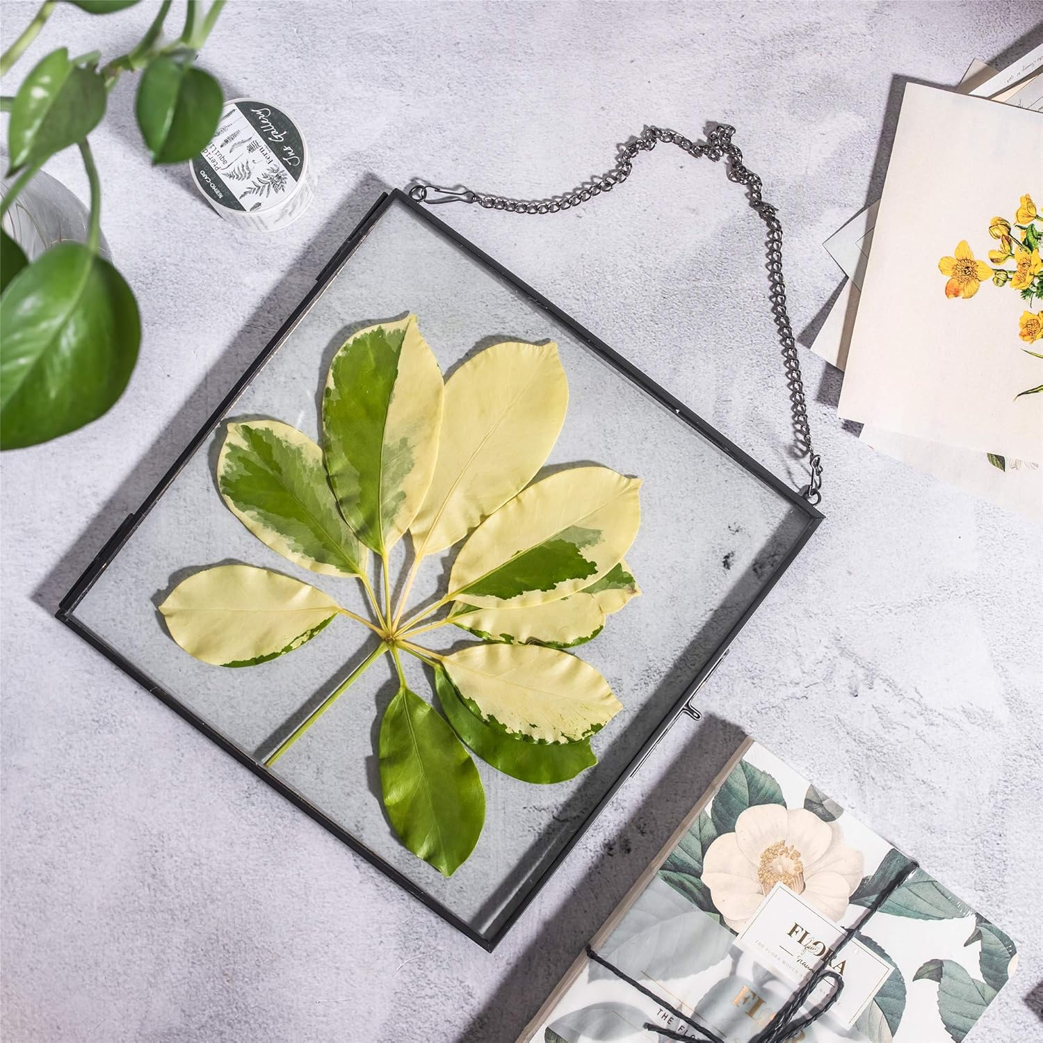 NCYP Hanging Glass Floating Frame for Pressed Flowers and Photos