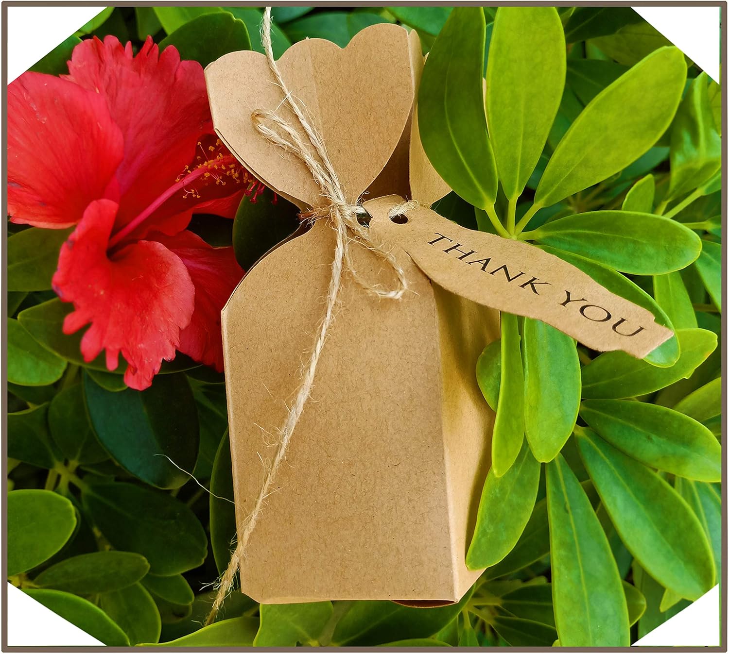 Lontenrea 50 Pcs Candy Boxes with Twine and Cards