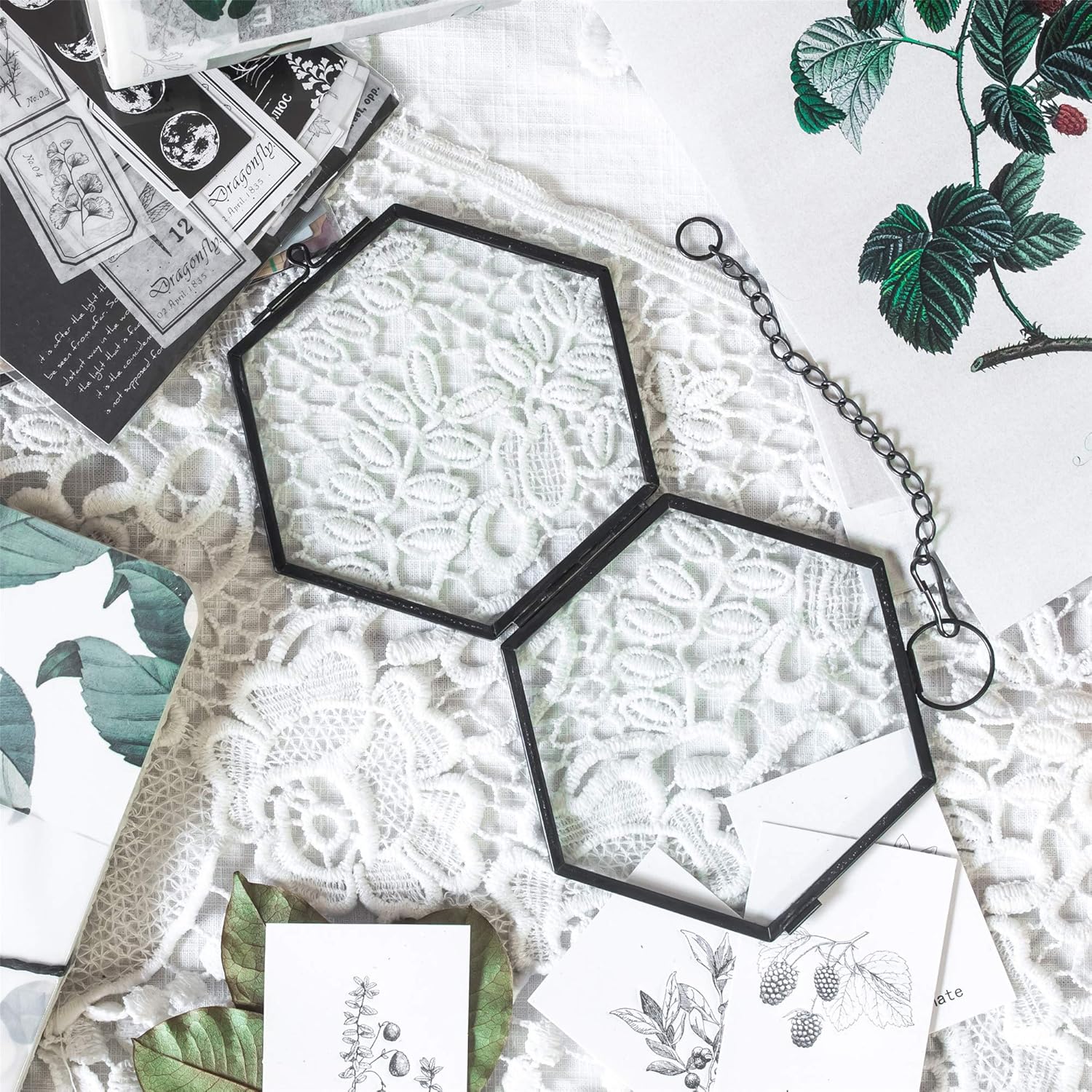 NCYP Mini Hanging Hexagon Glass Frame for Dried Flowers and Photos