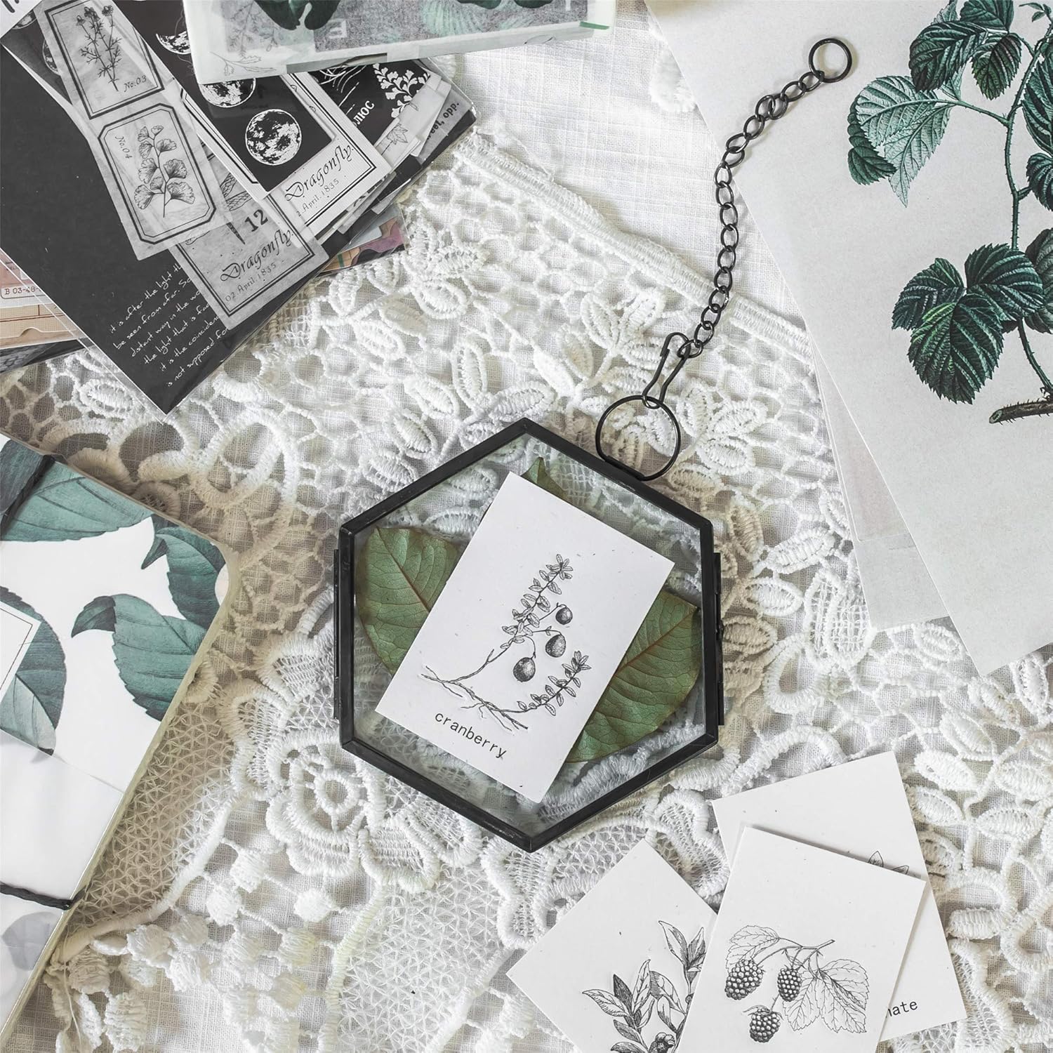 NCYP Mini Hanging Hexagon Glass Frame for Dried Flowers and Photos